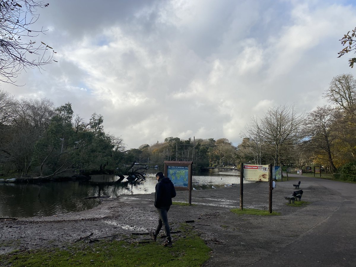 Not even Storm Debi could stop us getting lake water samples from @fotawildlife with our 4th year student. @UCDSBES #metabarcoding