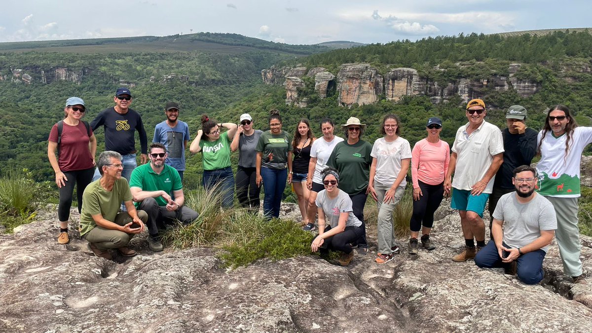 Dialogo Florestal tweet media