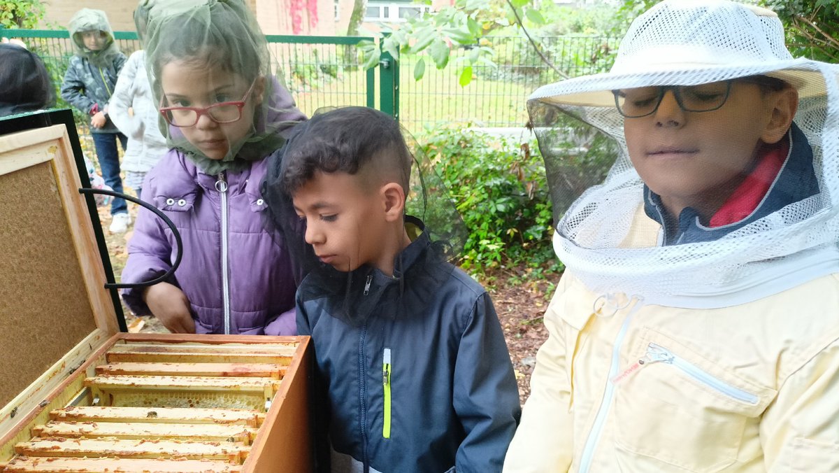 Im Rahmen eines Bienenprojektes hat die Klasse 3c unsere Schulbienen besucht und bestaunt. #schulbienen #grundschule #spandau #falkenhagenerfeld