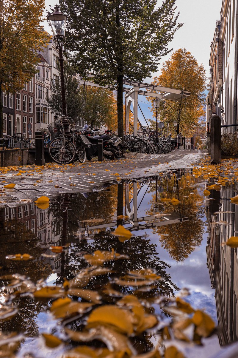 Gemeente Amsterdam tweet media