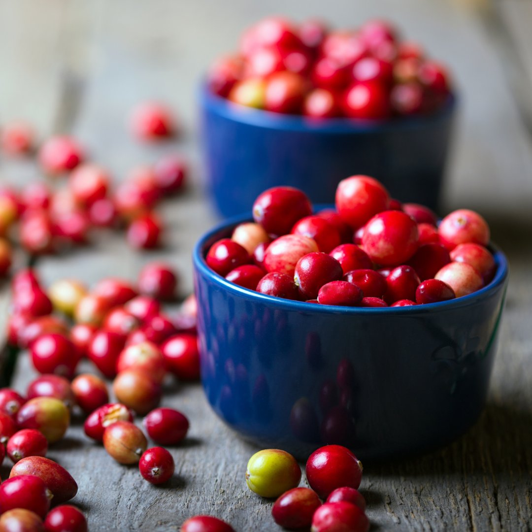 Cranberry Institute tweet media