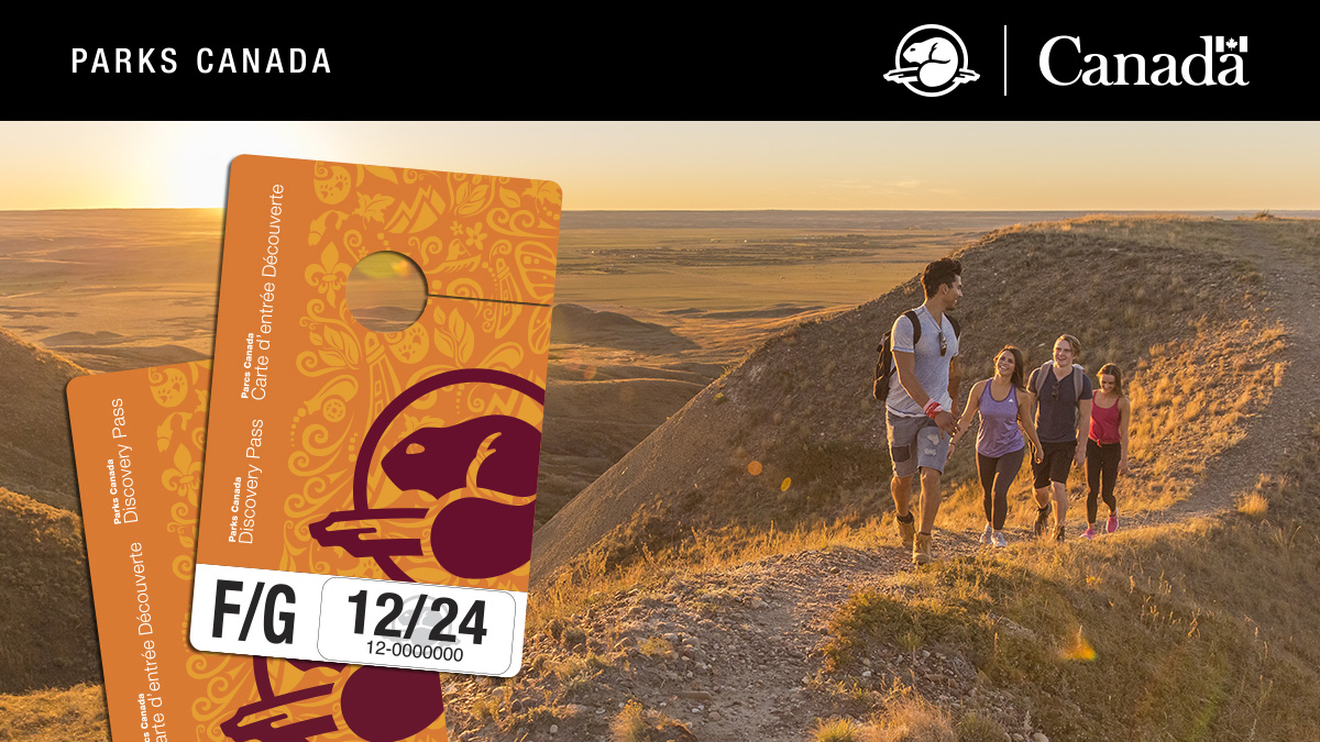 ParksCanada's tweet photo. To all the adventurers out there, we've got great news for you! 👀 The new edition of the #ParksCanada #DiscoverPass is now available! 🎉
Get ready to discover 450 000 km2 of stories ➡ https://t.co/rwBsMjwQFD https://t.co/mCTjLLtIvH