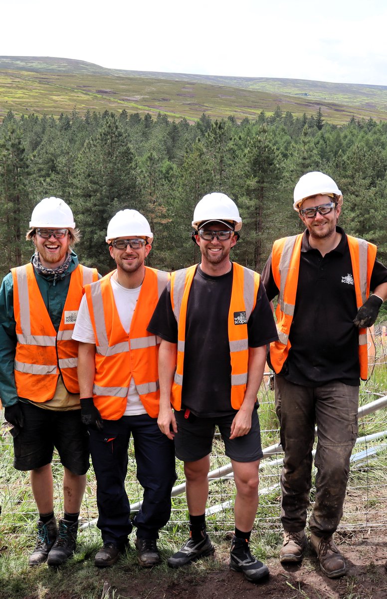 We're looking for Conservation Contracts Assistants to support our core team with winter projects.

Find out more about the opportunity and apply here; wildscapes.co.uk/conservation-c…

#JobAlert #SheffieldJobs #ConservationJobs #GreenJobs #WorkForUs #Sheffield #Rotherham #Conservation