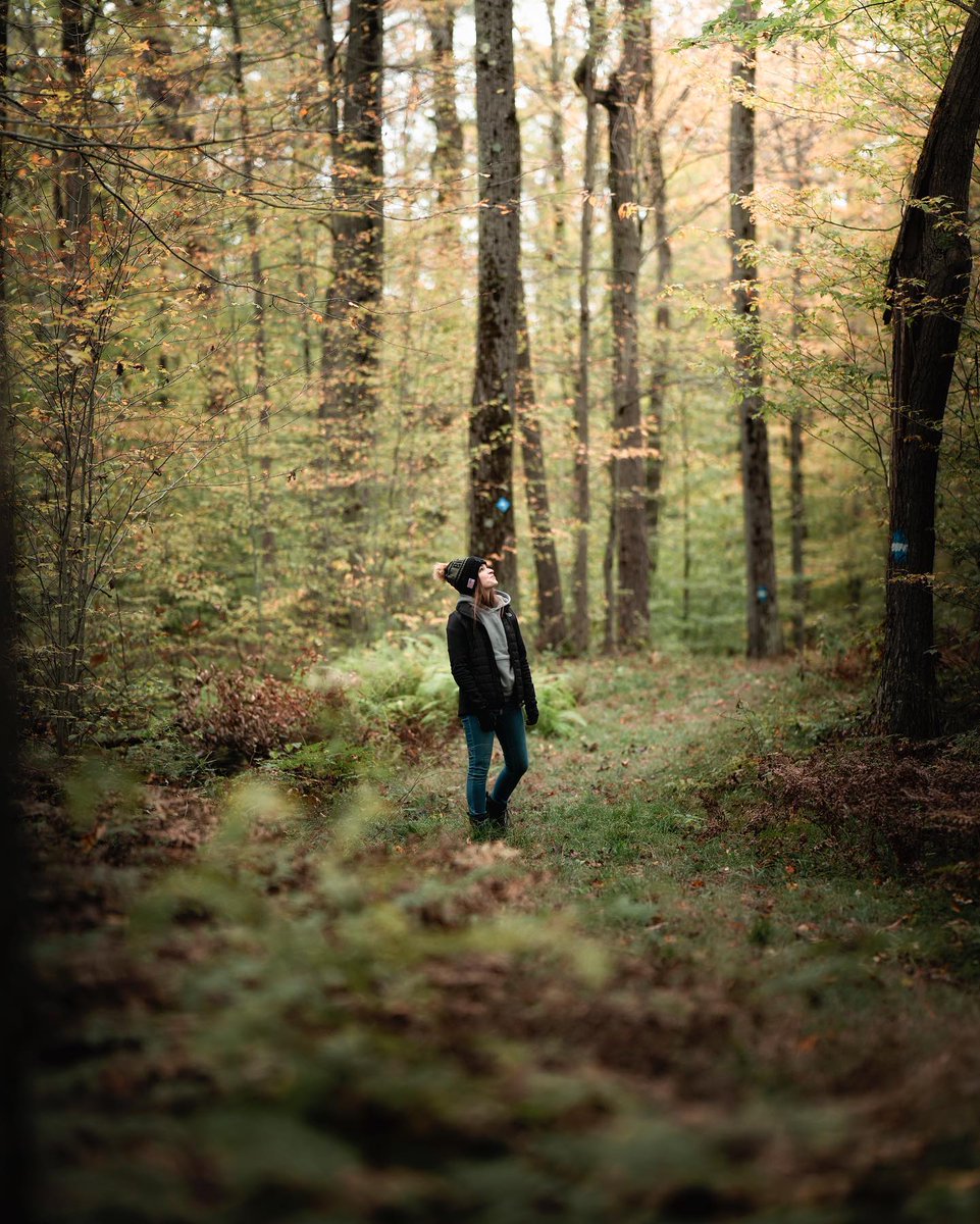 VisitFLX's tweet photo. In the heart of Naples, NY, you'll find the Cumming Nature Center, a 900-acre hub for environmental education. With more than 15 miles of trails and exciting educational programs, it's perfect for nature enthusiasts of all ages. 

📷: @jrherrm

https://t.co/cLWsyFPsc8 https://t.co/pA93AeEaSY