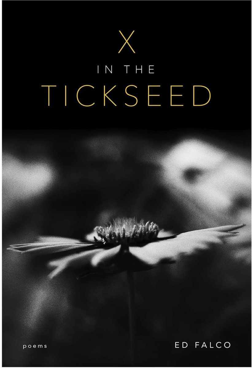 My second collection of poems from LSU will be out January 2024. The cover—from a photo by Russ Morris—is beautiful. It's available for pre-order if you're especially wonderful and supportive. Or even if you're not. shorturl.at/uxHN4