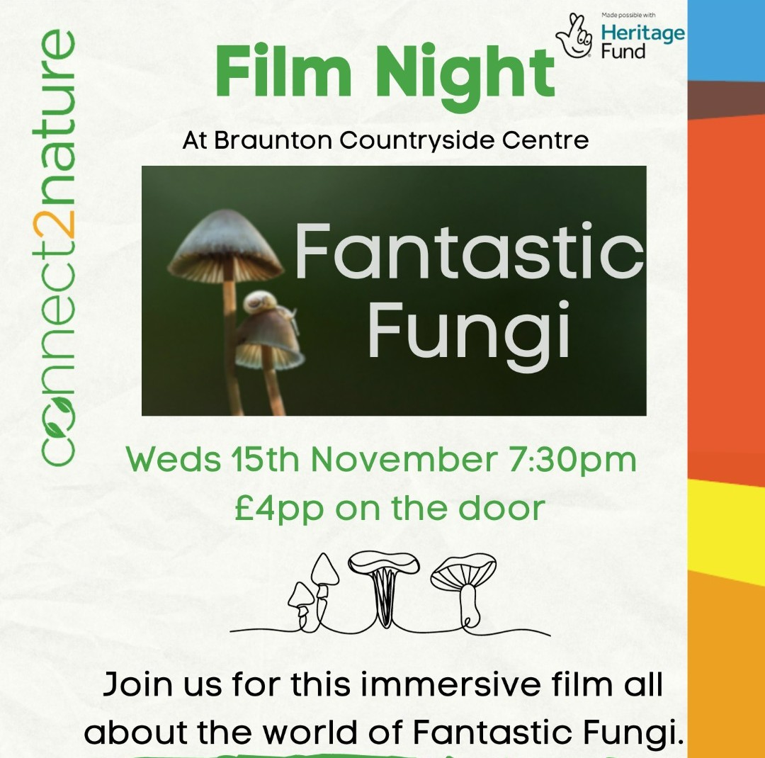 Fantastic Fungi Film Screening this Weds. 

Check out the trailer here: ow.ly/gS0F50Q6YoA

As it's prime fungi season, we'll learn about the underground mycelium network.

£4 on the door, or you can pre-book here: ow.ly/eOot50Q6YoB

#connect2nature