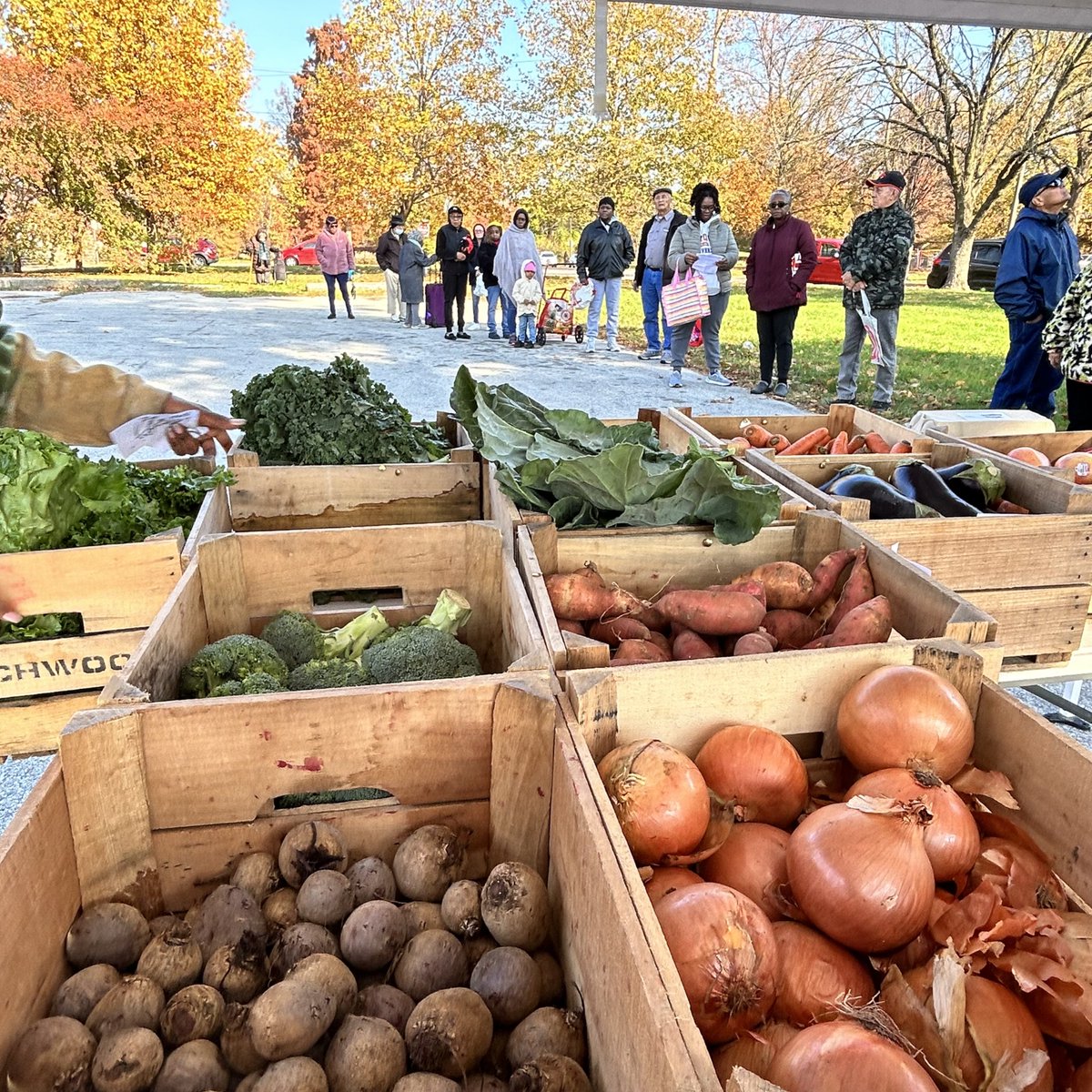 The Food Trust (thefoodtrust) Twitter Tweets • TwiCopy