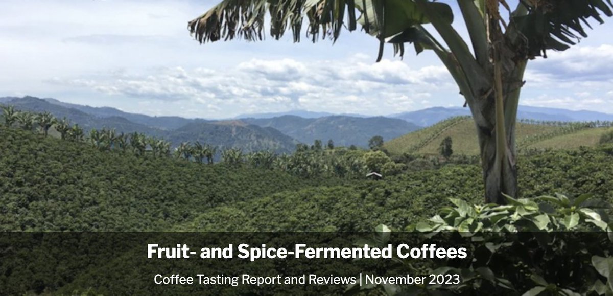 Our November #Coffee Tasting Report -- Fruit- and Spice-Fermented Coffees: The Cup and the Controversy -- is now available.  Read report: bit.ly/47pYDBr See reviews: bit.ly/49wds6P