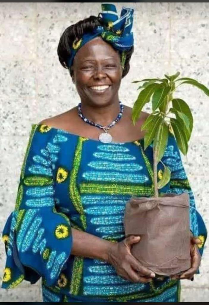 Wanjira Mathai tweet media