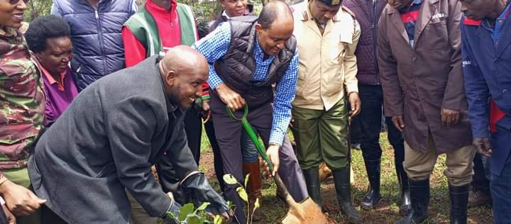 DFHRC's tweet photo. We celebrated the #NationalTreePlantingDay by joining the tree planting exercise at Kamukunji Grounds. We urged the community to not only plant trees, but also grow them and protect them. Trees are vital for our planet and our future. #TreePlanting #EcoMind https://t.co/AJcAM49VuH