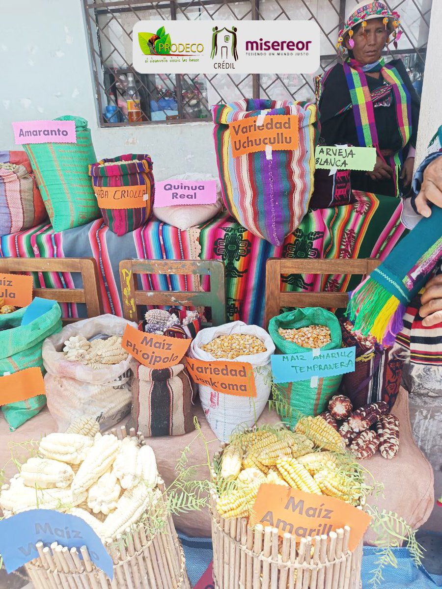 PRODECO_BOLIVIA's tweet image. "𝗖𝗲𝗹𝗲𝗯𝗿𝗮𝗰𝗶ó𝗻 𝘆 𝗦𝗼𝘀𝘁𝗲𝗻𝗶𝗯𝗶𝗹𝗶𝗱𝗮𝗱: 𝗣𝗥𝗢𝗗𝗘𝗖𝗢 𝗲𝗻 𝗲𝗹 𝗺𝗮𝗿𝗰𝗼 𝗱𝗲𝗹 𝗽𝗿𝗼𝘆𝗲𝗰𝘁𝗼 𝗦𝗔𝗡𝗔-𝗕𝗼𝗹𝗶𝘃𝗶𝗮 𝗧𝗿𝗮𝗻𝘀𝗳𝗼𝗿𝗺𝗮𝗻 𝗖𝗼𝗺𝘂𝗻𝗶𝗱𝗮𝗱𝗲𝘀"

#PRODECO-BOLIVIA
#SANA-Bolivia
#misereor
#CREDÍL
#Ravelo
#Sostenibilidad
#ComunidadesVerdes