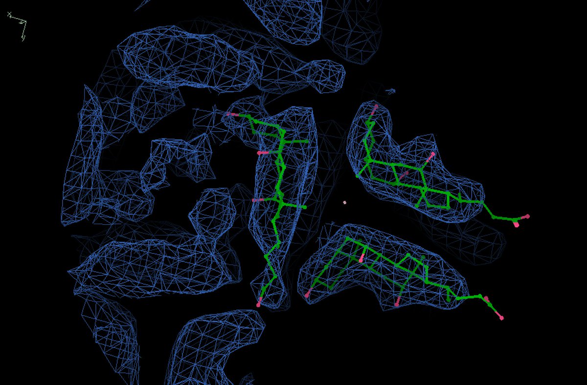 OliBClarke's tweet image. Ok it is indeed a helical filament of deoxycholate: