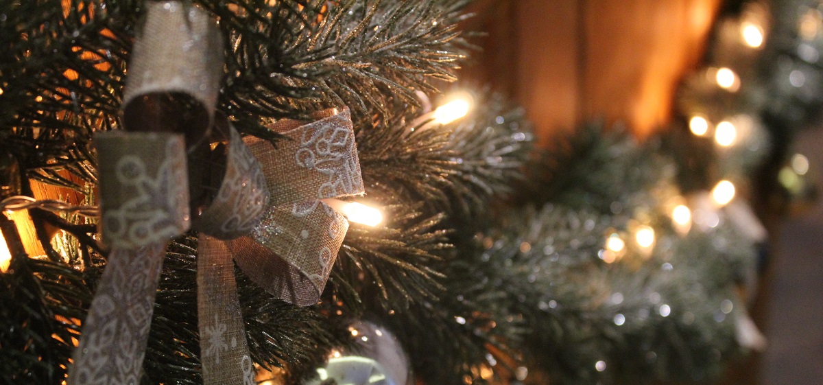 Mallory Court tweet media