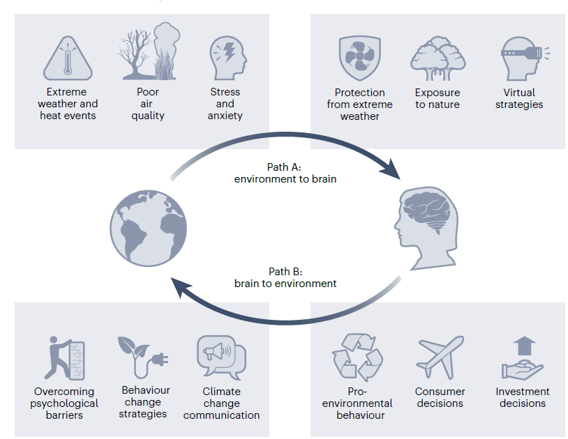 🚨🚨🚨We have a new perspective out today in @natureclimate called “Leveraging neuroscience for climate change research” shorturl.at/dyN35 where we call on brain researchers to help combat #climatechange🧵