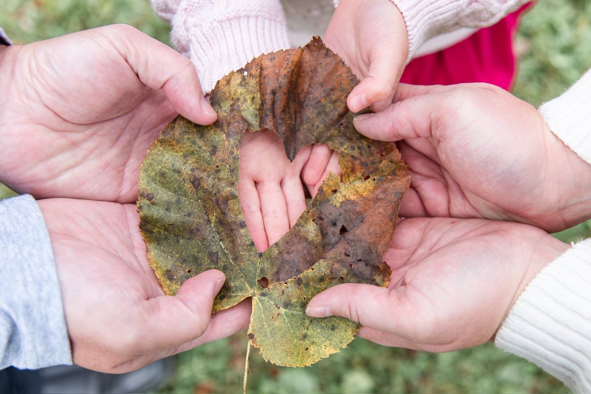 rukhsar jaffer tweet media