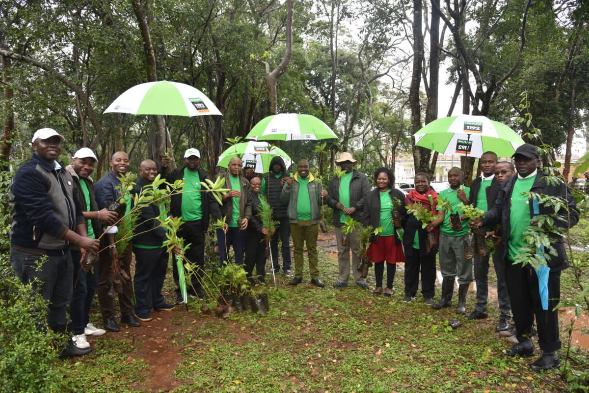 OmeteYusuf's tweet photo. @NACADAKenya , Good job. Accelerating the 15Billion trees campaign .

#GreeningKenya
#Roadto15BTrees
#NationalTreePlantingDay
#WholeGovtApproach
#UDAParty https://t.co/r2erMYn3Ic