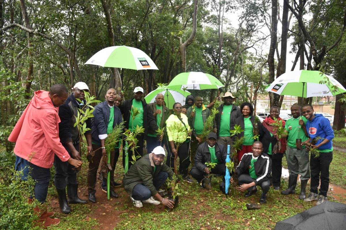 OmeteYusuf's tweet photo. @NACADAKenya , Good job. Accelerating the 15Billion trees campaign .

#GreeningKenya
#Roadto15BTrees
#NationalTreePlantingDay
#WholeGovtApproach
#UDAParty https://t.co/r2erMYn3Ic