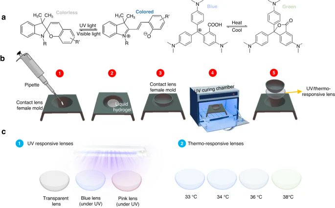 LightSciAppl's tweet image. #LSA_Highlight: [Research Article] Multifunctional transition and temperature-responsive contact lenses. @KhalifaUni #Optical_materials_and_structures #Optical_sensors
nature.com/articles/s4137…