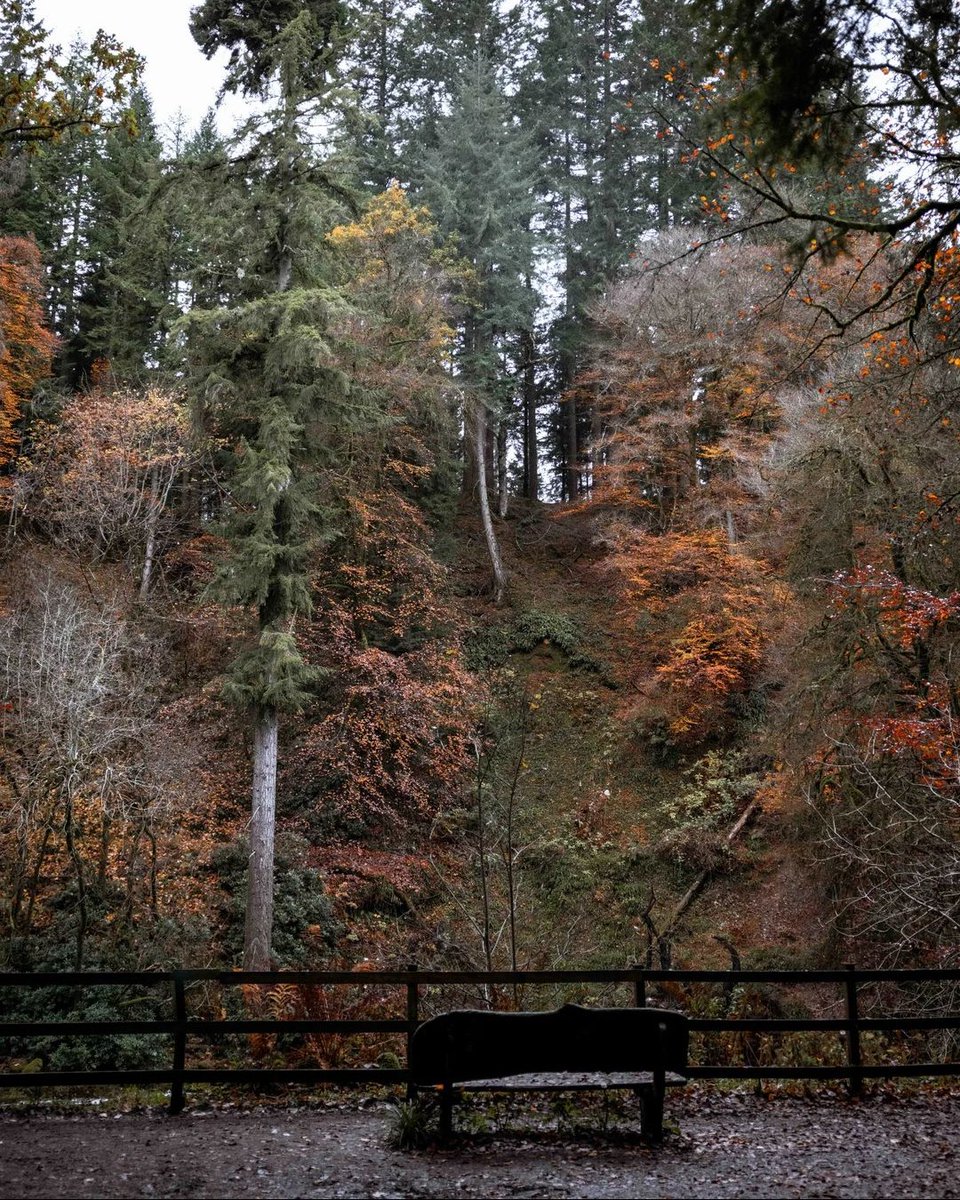 Did you know a walk in the woods can reduce tension, lower blood pressure and improve concentration? Where is your go-to place to unwind among the trees?

📍 Killiecankie, Craigower, Mar Lodge, Hermitage
📸 Matthew Rowley, Lucy, Nicola King, Scott Jackson
#ForTheLoveOfScotland