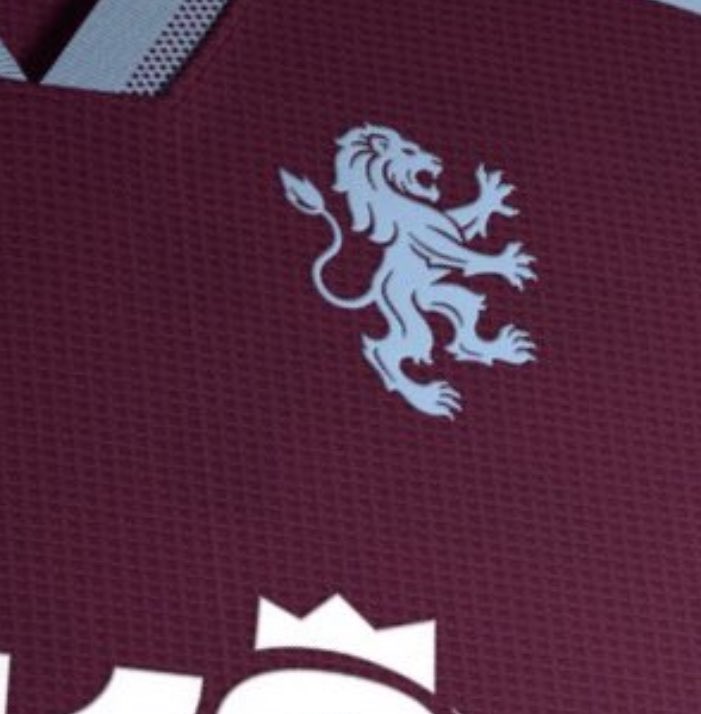 Primetimeperry's tweet photo. #AVFC #AstonVilla #freethelion https://t.co/qRyxwqyUzu