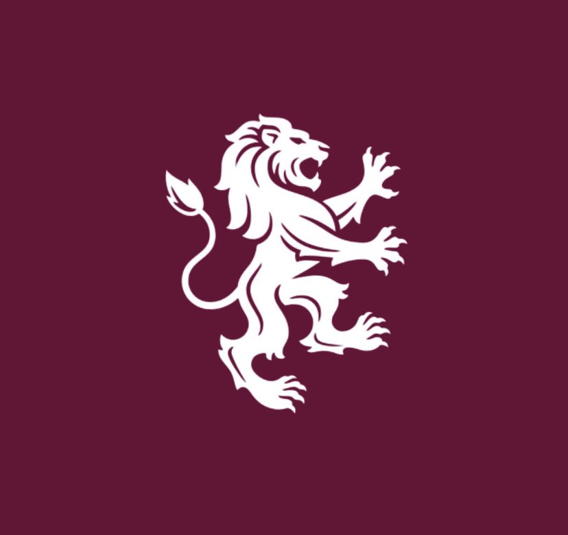 Primetimeperry's tweet photo. #AVFC #AstonVilla #freethelion https://t.co/qRyxwqyUzu