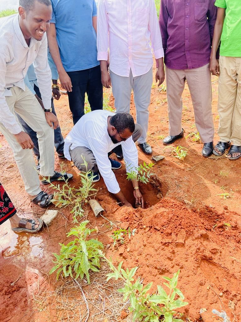 Abdikadir Tache tweet media