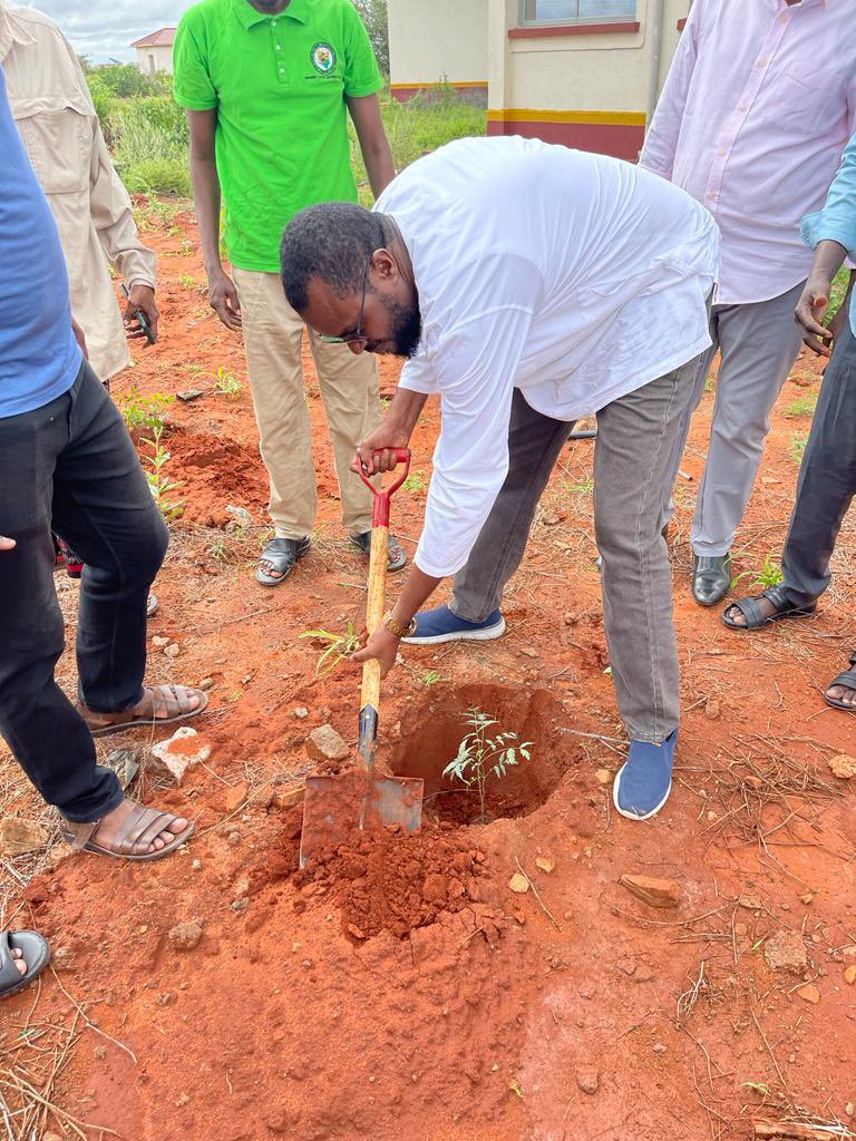 Abdikadir Tache tweet media