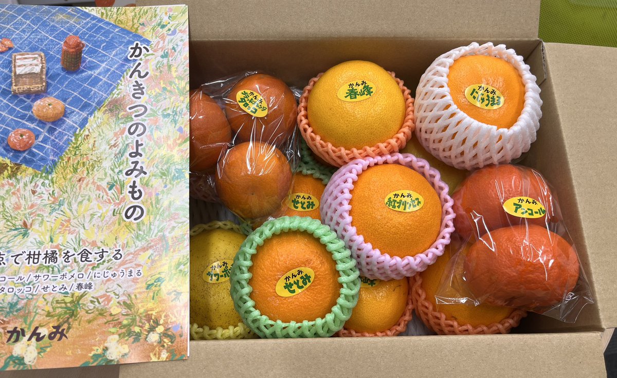 KANMIofficial's tweet photo. ／
🍊柑橘84種が届く定期便 #かんみ
＼

2023年シーズン始まります！

#かんみ は毎月7種を2-3玉前後の食べ比べやすい量で月末に届ける柑橘のサブスクです。

1年目（22年11月〜23年10月）の経験を元に23年シーズンを11月号（11/25発送）から開始！

何品種食べたことがあるかお届け予定をチェック🍊🍊 https://t.co/oYWpafU10Y