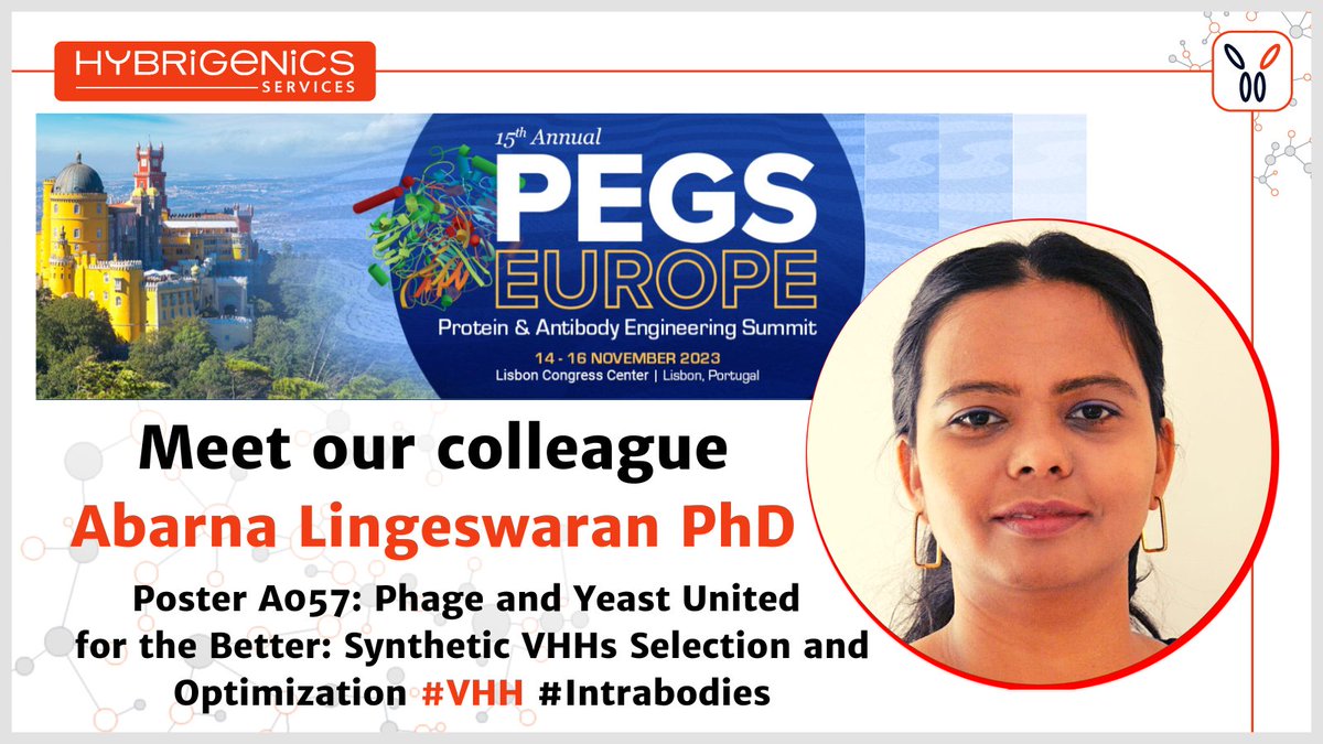 We are ready for THE Protein& #Antibody Summit of the year #PEGSEurope! Meet our colleague Abarna Lingeswaran to talk about #animal-free #Nanobody Selection, #VHH for intracellular applications and #YeastDisplay Optimization or swing by her poster A057: Phage and Yeast United for…