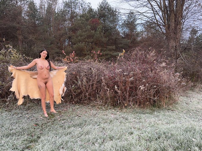 Beautiful frost this morning https://t.co/hJ0cfk5UP9<a href="/tag/xhamster"class="tags"><span>#xhamster</span></a>