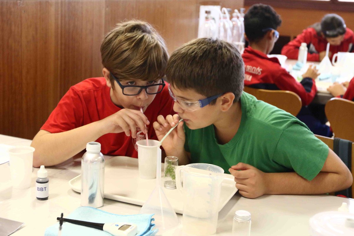 aeqtonline's tweet photo. NOTA PREMSA | La lluita contra el canvi climàtic, tema central dels tallers @universitatURV -AEQT de la Setmana de la Ciència

👩‍🎓 Més de 1.100 alumnes de primària i secundària participaran en una nova edició d’aquesta activitat.

https://t.co/SGhvpHS2yh https://t.co/1XS76QJXpL