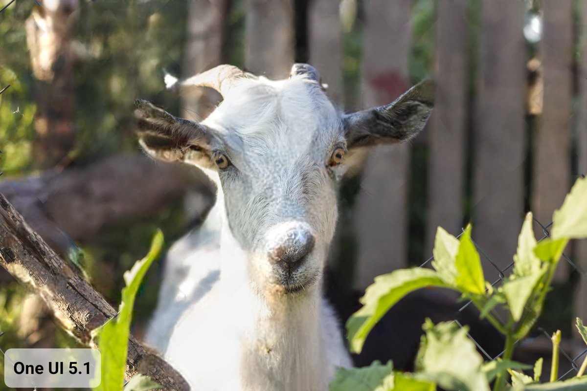 theordysm's tweet image. 🧵 Object eraser in One UI 6🧵

Fence can be selected and removed in a matter of seconds 👏

It&apos;s a tedious task in One Ul 5.1 (even 5.1.1) because you need to manually draw around the fence, but the final image is comparable to One UI 6

#OneUI6 #ObjectEraser

(1/4)