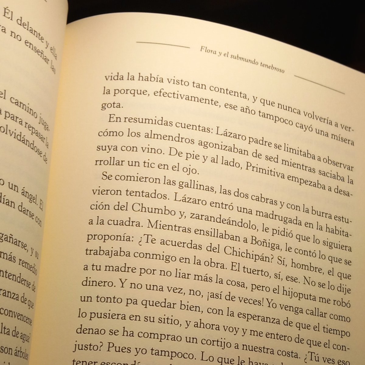 Editorial Páramo tweet media