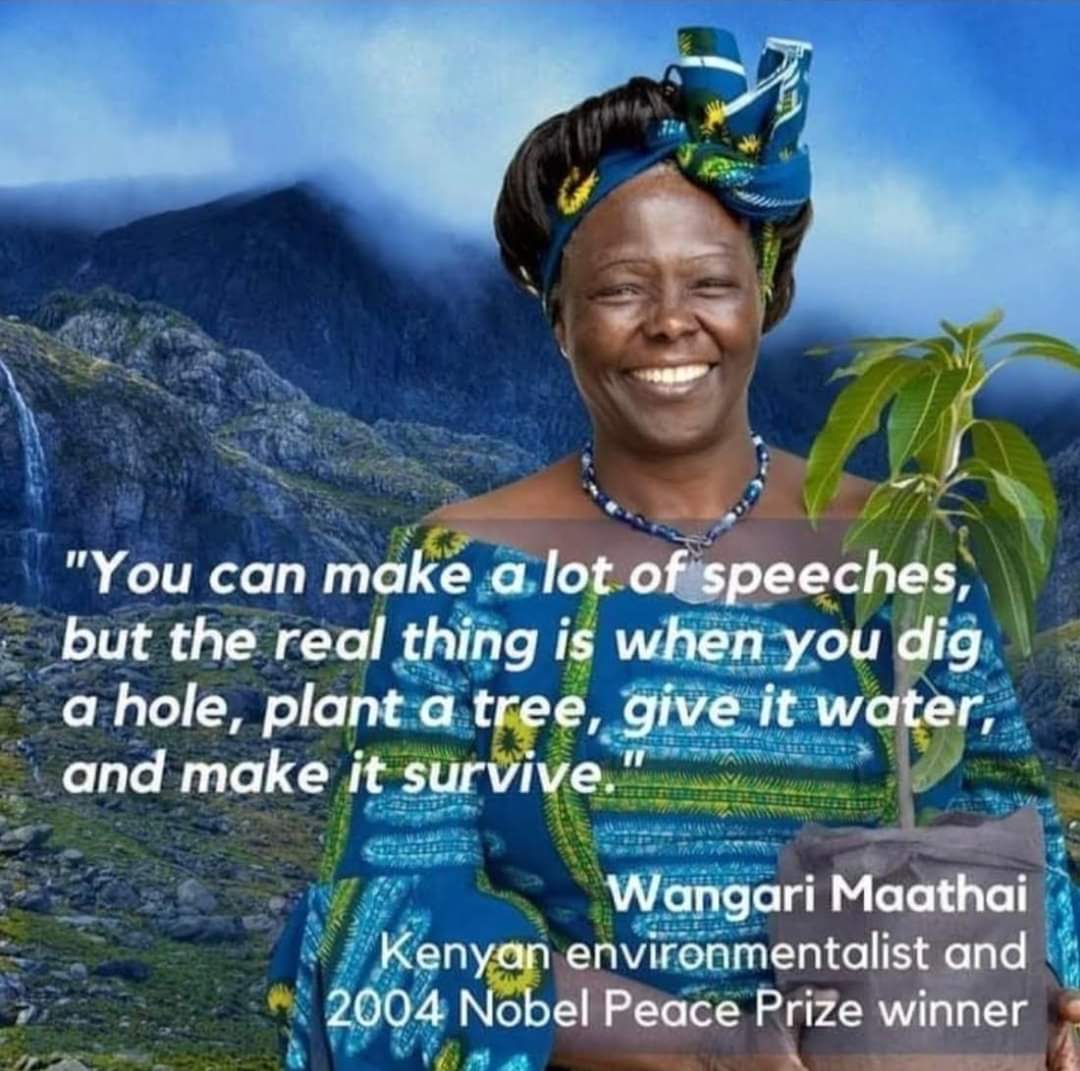 SpiceBikers's tweet photo. #Quote of the Day

#NationalTreePlantingDay    #Environment #TreePlanting #ClimateChange #ClimateAction #Kenya #15BillionTrees #SpicyEcoWarriors #Accelerate #SpiceTalks #SpiceFestival #SocialChange https://t.co/Jw9a72YTcQ