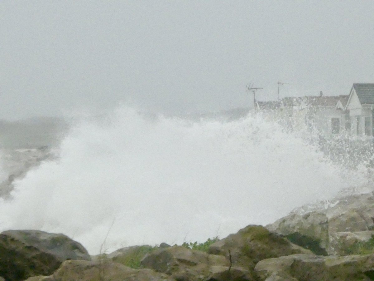 Walney Island tweet media