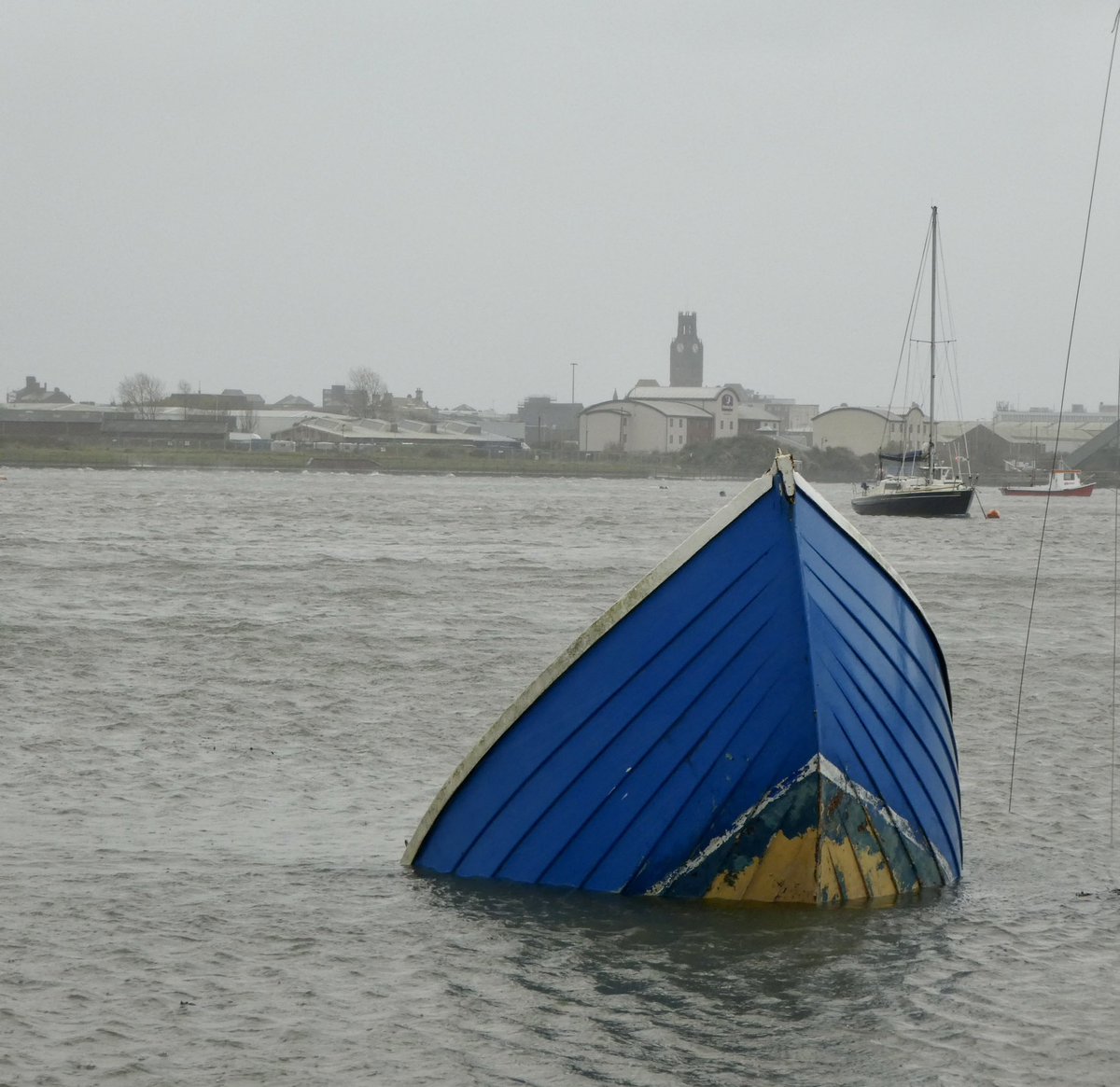 Walney_Island tweet picture