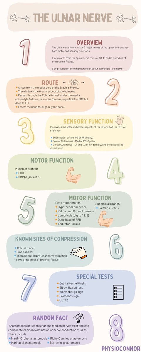 ✋🏼📘Ulnar Nerve Infographic 📘🤚🏼

#HandTherapy #Physiotherapy #OccupationalTherapy