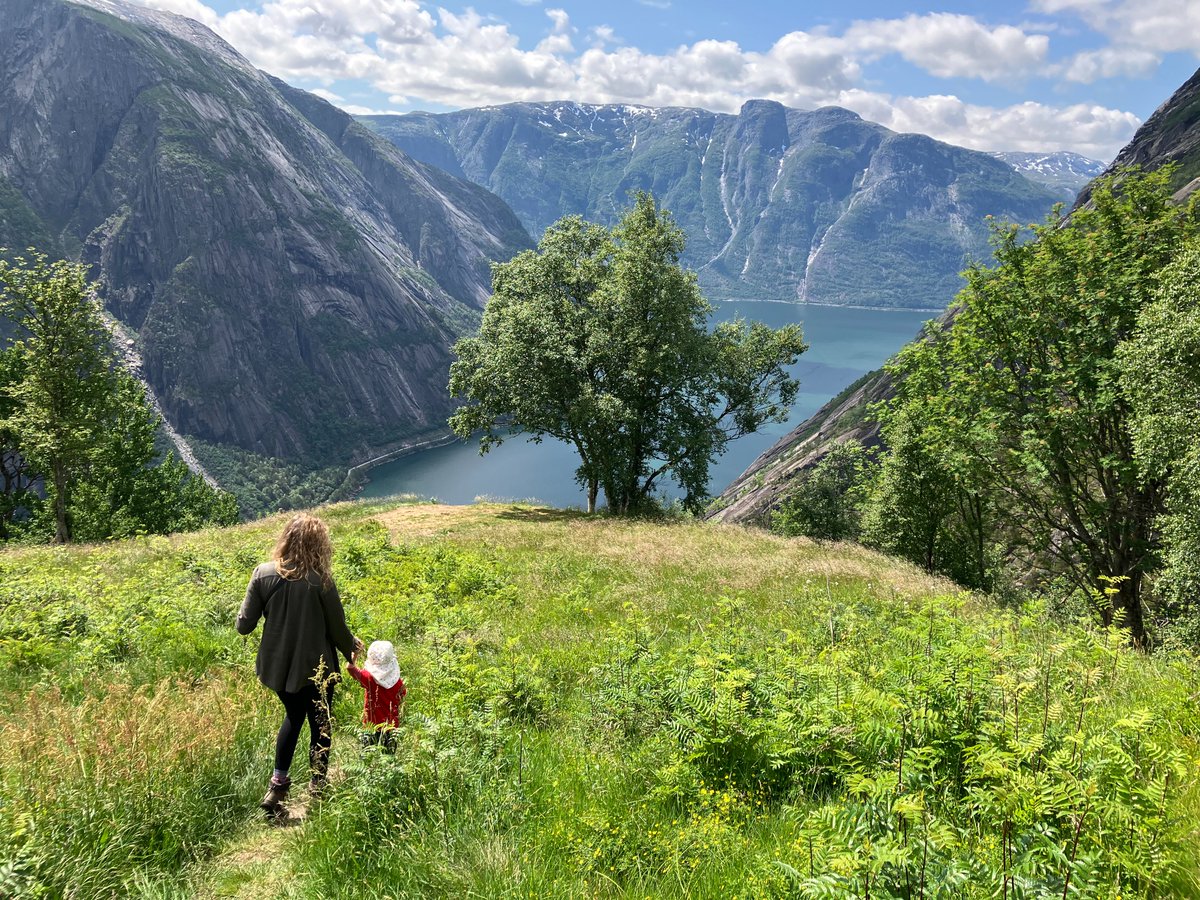 We are looking for PhD Research Fellow in Ecosystem Services, to measure and understand patterns of ecosystem service demand across Norwegian society. Deadline soon: 1st December. Details here: jobbnorge.no/en/available-j… Please RT and disseminate far and wide!