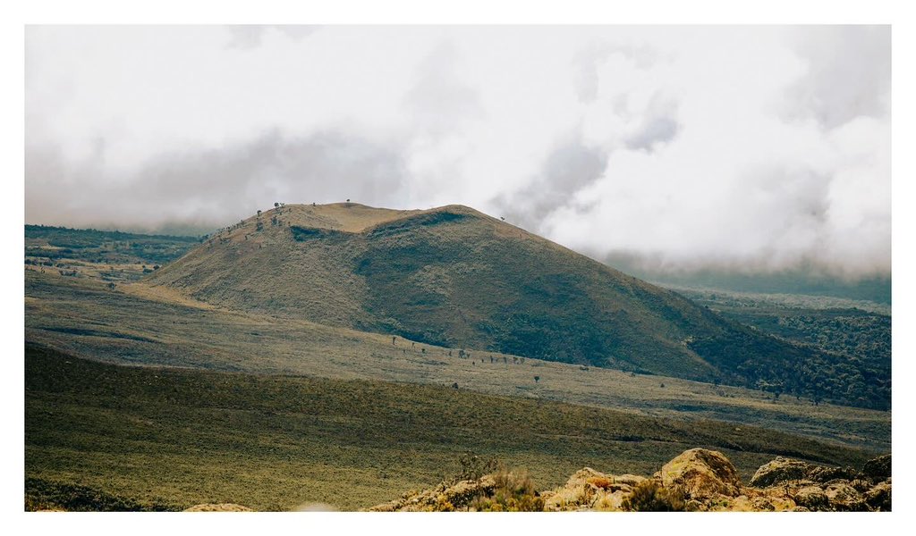 Documenting the undeniable impact of climate change, proudly joining forces with UNICEF to shed light on how children are leading the charge in the fight against climate crisis..

Visuals from the Top🚀
#studio19serves
#tellingAfricastories
#kilimanjaro