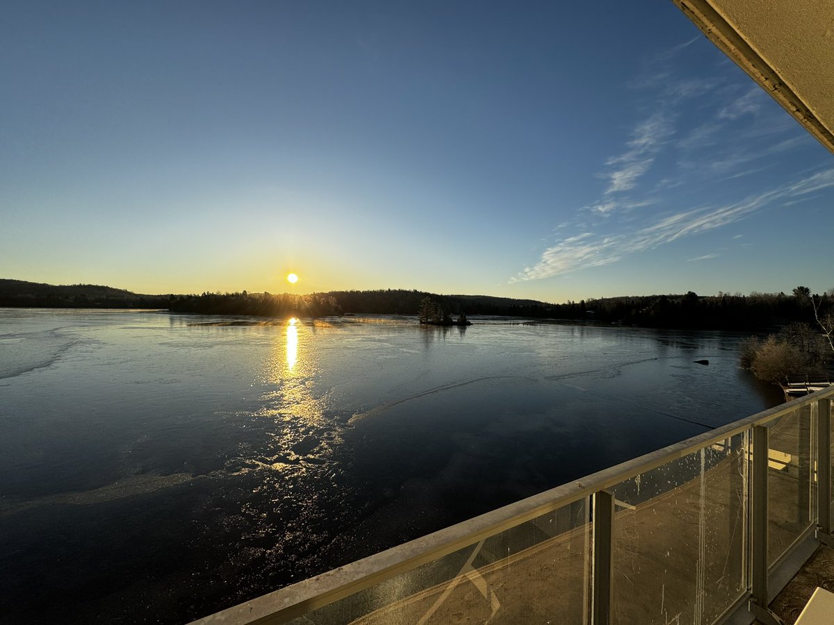 rego • tweet media