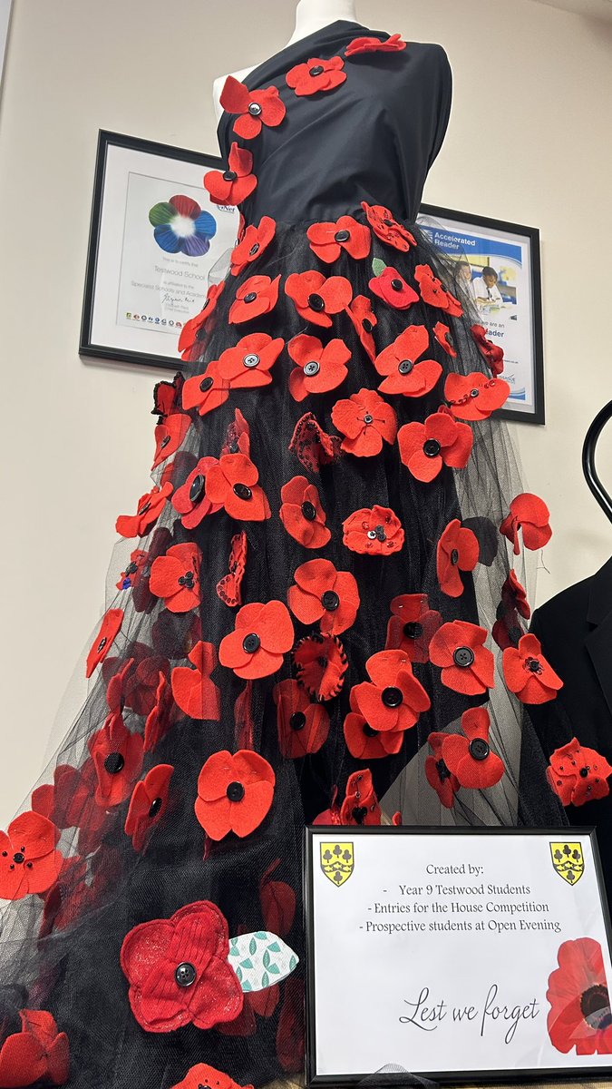 This dress has been made by Testwood Textiles students, entries to the school House Poppy competition and prospective students that attended Open Evening. Well done and thank you to all that took part.