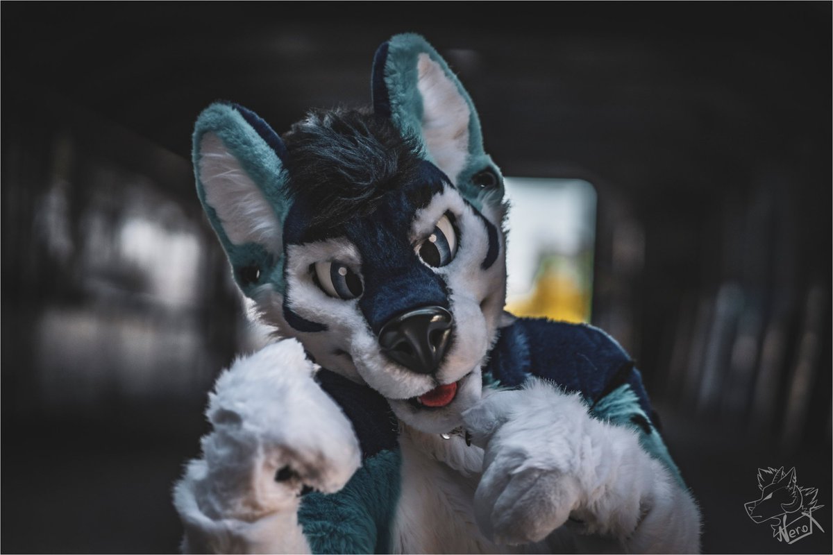 Dreams are there to be chased and fulfilled! 💙🤗 Sometimes you have to fight for them, but you won’t believe how much you can reach in life, just never give up and stay focused !!! 🥰🤜💪💫 Do not underrate yourself 🤗 #MondayMotivation #Furry 📸; @fur_nerox