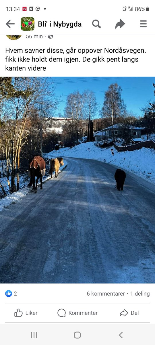 Andre Kristiansen tweet media