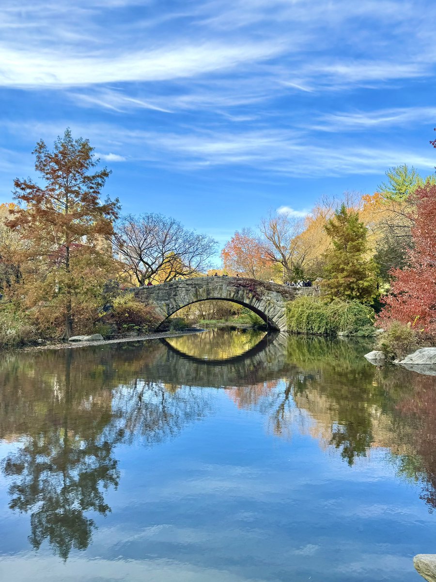 نیماژ tweet media