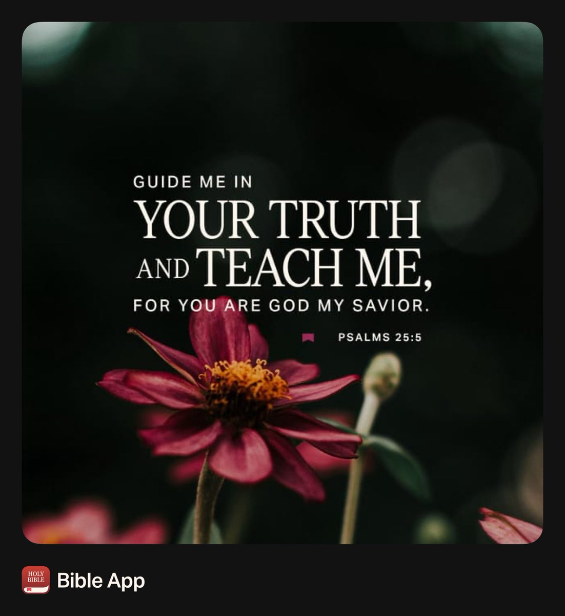 Donald Balch tweet media