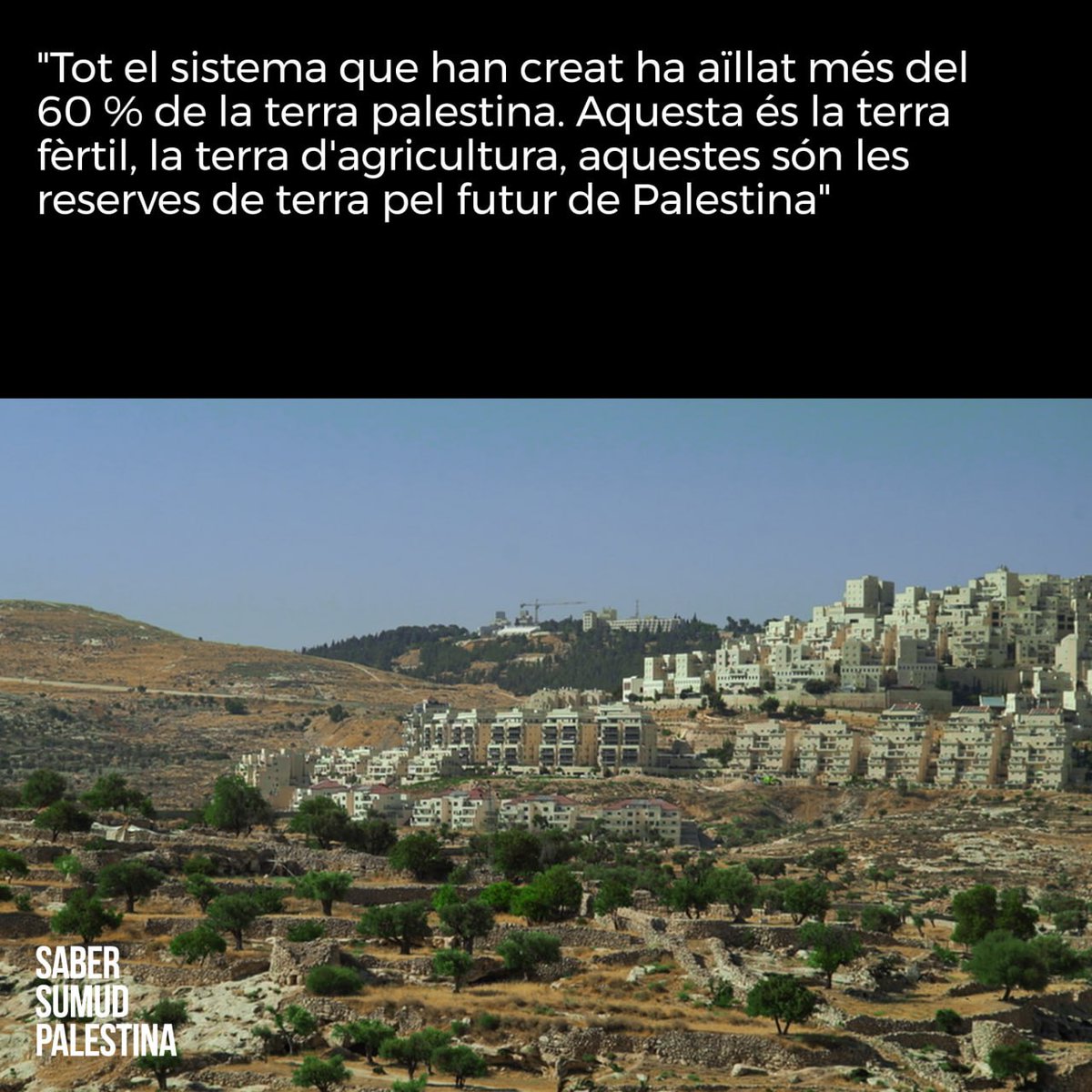 🪖 El règim que ha imposat l'Estat d'#Israel sobre els #TerritorisOcupats ha colonitzat la majoria de les terres agrícoles palestines.

🎞 27/11 | Estrena del documental 'Saber / Sumud / #Palestina. Les arrels d'una terra'

t.me/laDirecta/5038