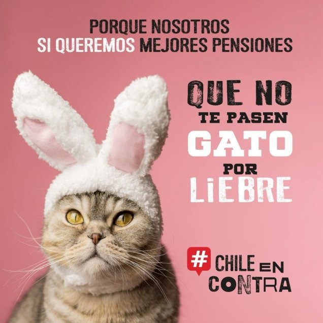 Porque nosotres SÍ queremos mejores pensiones. Que no te pasen gatite por liebre! 😺 #ChileEnContra #ChileVotaEnContra <a href="/ChileEnContra/">Chile En Contra</a> @ChileEnContraEx