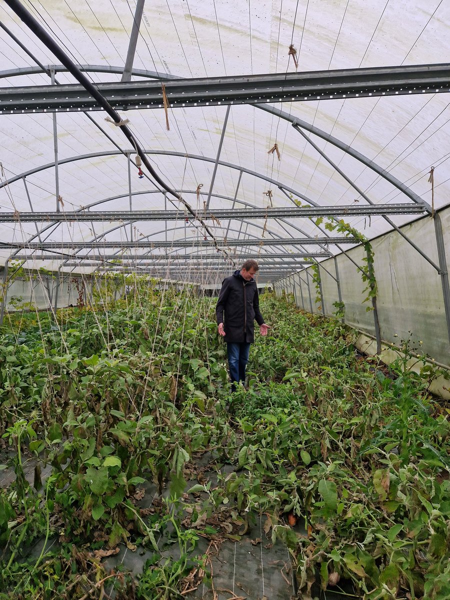 Yannick Jadot tweet media