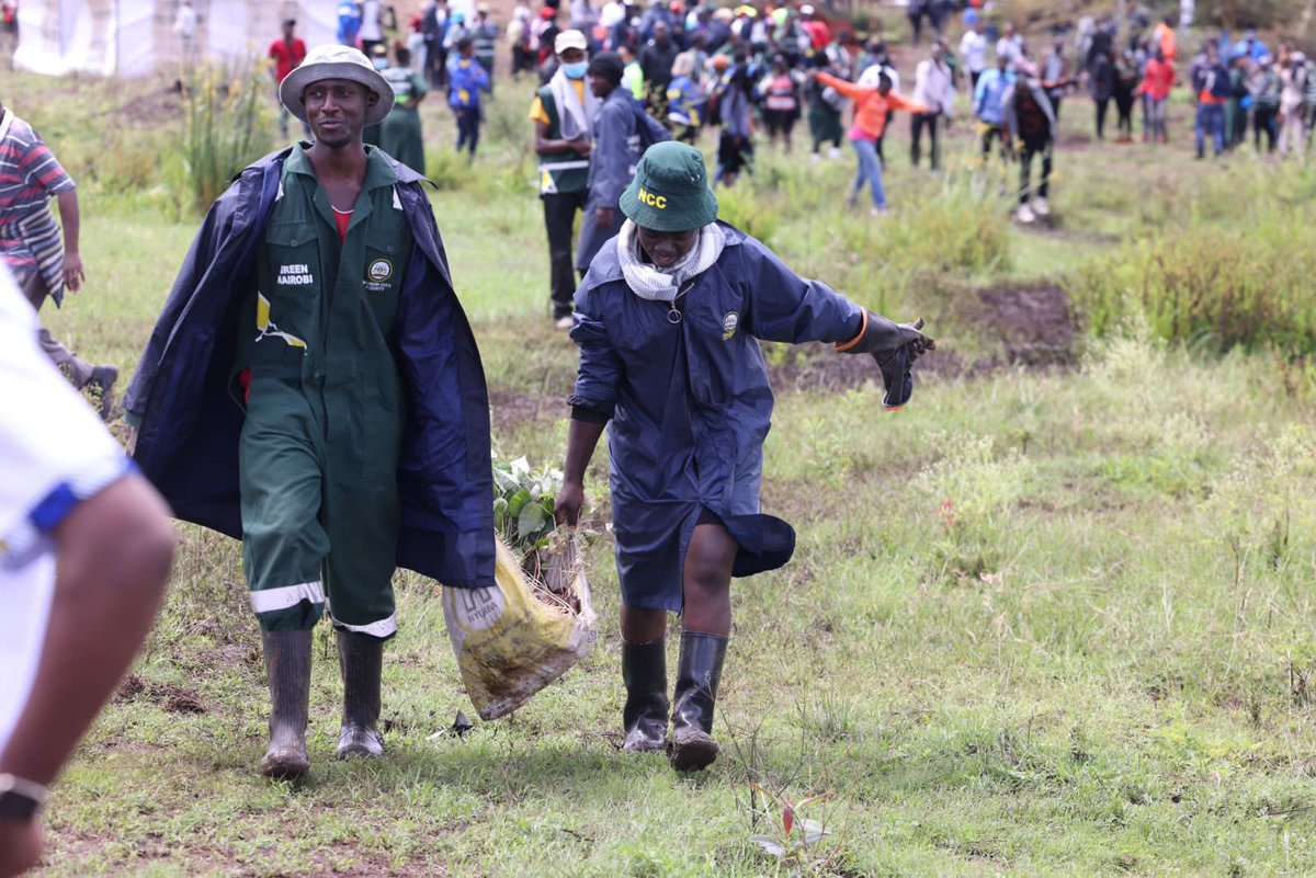 OmeteYusuf's tweet photo. Governor Sakaja @SakajaJohnson . Good job planting trees on major Catchments for Nairobi water. 

For today and the future generations.

#GreeningKenya
#Roadto15BTrees
#NationalTreePlantingDay
#WholeGovtApproach
#UDAParty https://t.co/DizM1bCpKL