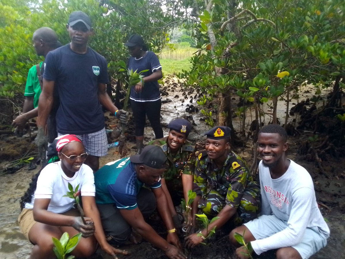 Youth Dare Initiative, alongside the Navy, joined hands with fellow Kenyans in a vibrant celebration of National Tree Planting Day. 🌿🇰🇪 @KCCGP_ #GroWithUs #KCCGP #60MillionMangroves